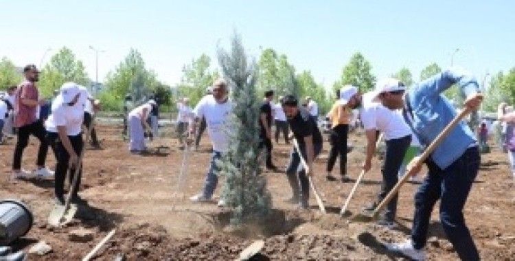 Engelliler fidan dikerek geleceğe nefes oldu