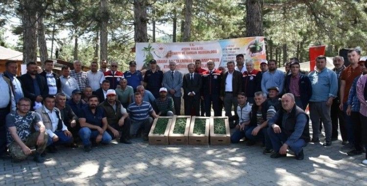 Kuyucak’ta 220 bin domates fidesi dağıtıldı
