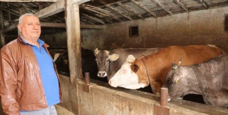 Erzurum’da kurbanlık satışında bekleyiş sürüyor
