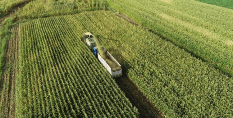 Üreticilere 5,1 milyar lira destekleme ödemesi yapılacak