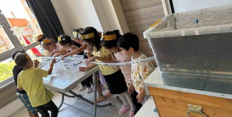 Minikler, arılarla buluştu balın yolculuğunu öğrendi
