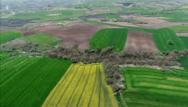 5 milyon kişiye tapu verilecek: 2B arazileri düzenlemesinde 3 ay detayı