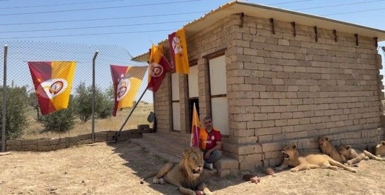 Galatasaraylı taraftar, şampiyonluğu aslanlarıyla kutladı
