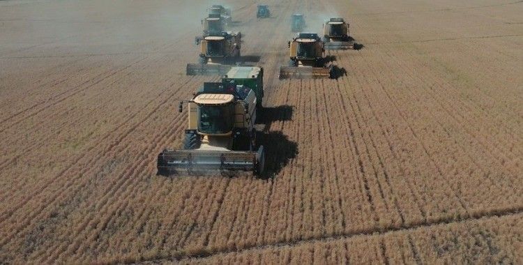 Bakan Yumaklı: "TİGEM Şanlıurfa Ceylanpınar Tarım İşletmesi’nde yılın ilk hasadına başlandı"
