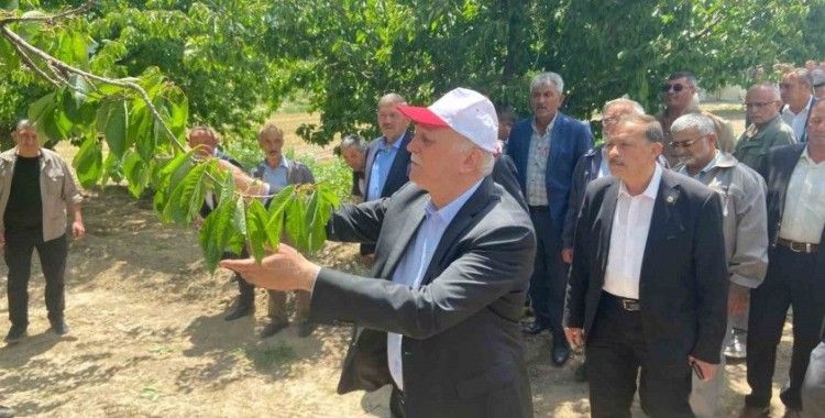 TZOB Başkanı Bayraktar: "65 vilayetimizde büyük bir zirai don felaketi ile karşı karşıya kaldık"
