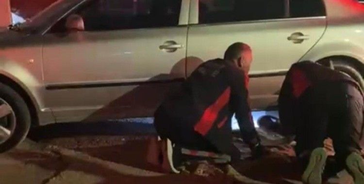 Farklı noktalarda mahsur kalan kedilere itfaiyeden yardım eli
