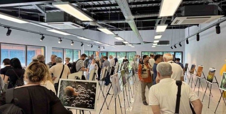 "Türkiye’nin Doğası" Ormanya’da hayat buldu
