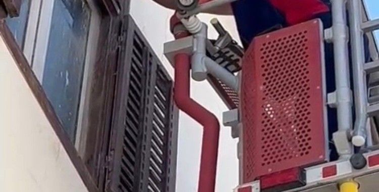 Ayağına ip dolanan kırlangıca itfaiyeden müdahale
