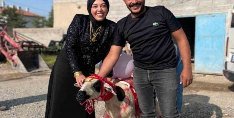 Nişanlısına süslediği koyunu hediye etti
