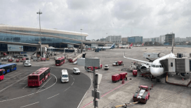 Hindistan'da havalimanında yolcunun bagajında 95 egzotik hayvan bulundu