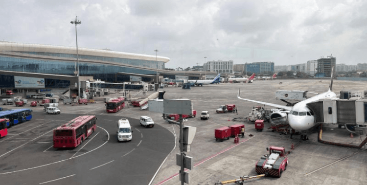 Hindistan'da havalimanında yolcunun bagajında 95 egzotik hayvan bulundu