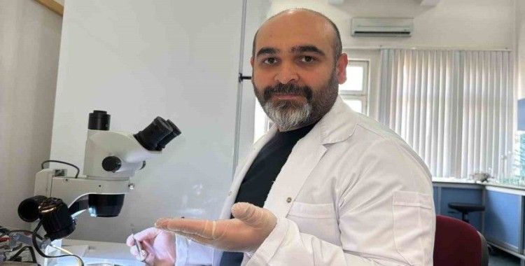 Asya uzun boynuzlu kenesi Türkiye faunasına girdi
