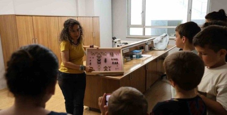 Büyük bir ilgiyle böceklerin dünyasını tanıdılar
