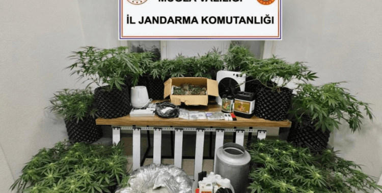 Bodrum'da uyuşturucu baskını: 2 gözaltı
