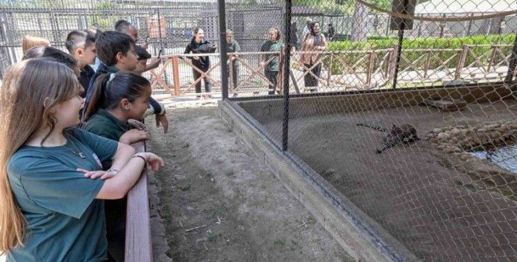 Mersin’deki ‘Minikbüs Projesi’ çocuklara gezi ve öğrenme yolculuğu sunuyor
