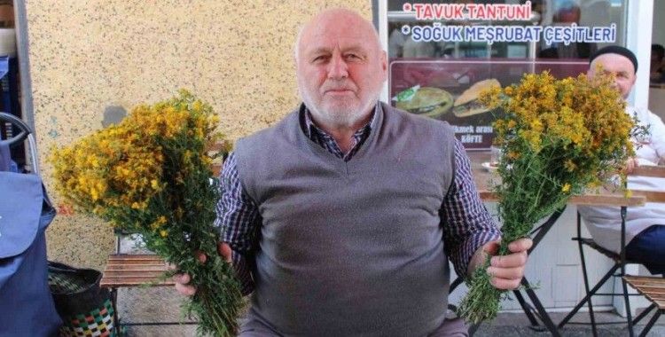 Bu çiçek hediye için değil sağlık için alınıyor
