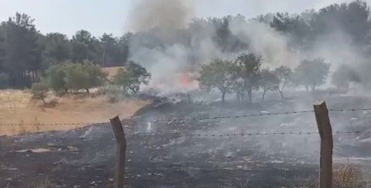 Ormanlık alanda çıkan yangın korkuttu
