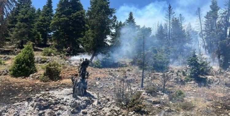 Mersin’de orman yangını, ekipler  müdahaleye başladı
