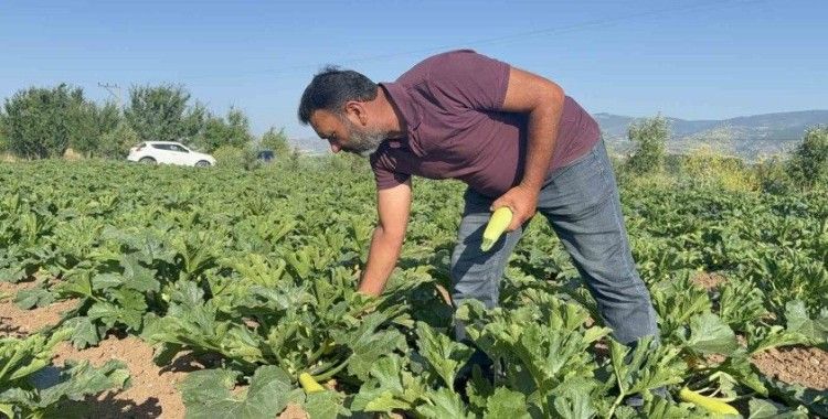 Tokat’ta meyveleri don vurdu, çiftçi ilk mahsulü öşür niyetine dağıttı
