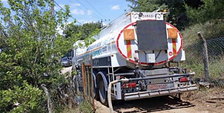 Dağyenice’de 25 dönüm küle döndü
