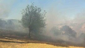 Kestel’deki orman yangını
