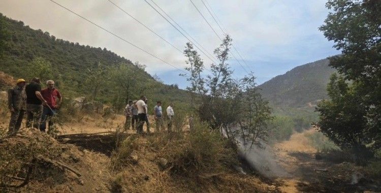 Makilik alanda korkutan yangın
