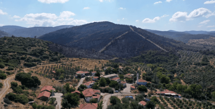 Orman yangınlarında bir gözaltı, bir tutuklama