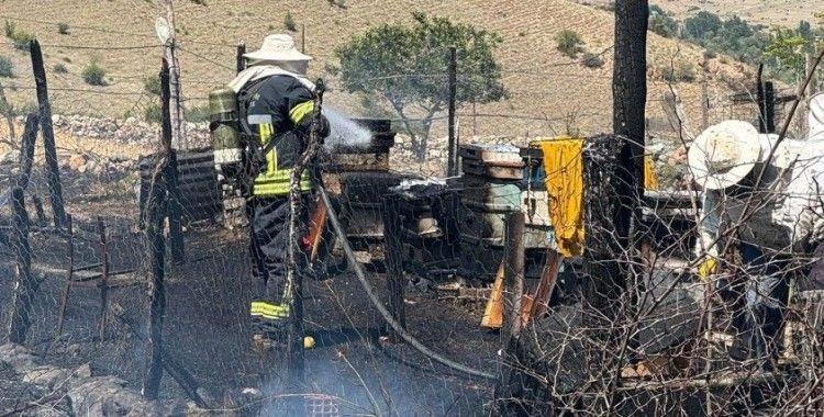 Arı kovanları yandı
