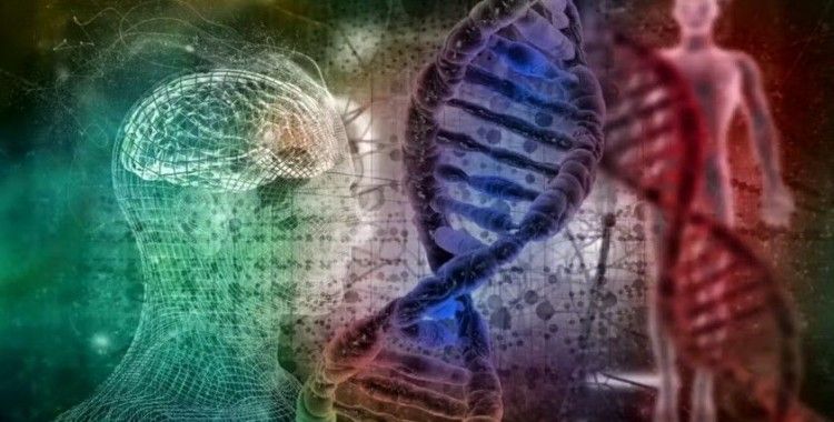 İnsan DNA’sı laboratuvarda sıfırdan ilk kez üretiliyor