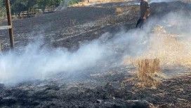 Elazığ’da yangın: Ekili alan küle döndü
