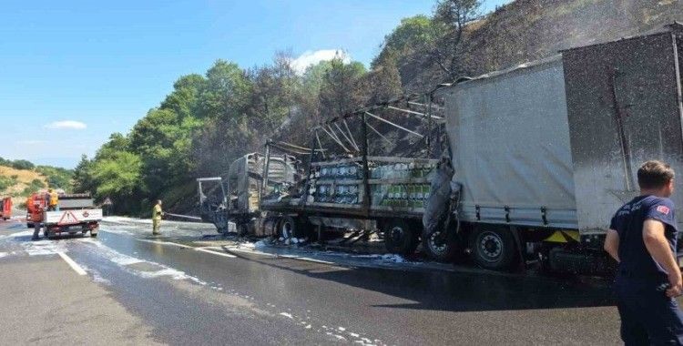 Motor yağı yüklü tır alev alev yandı, ormana sıçrayan yangın güçlükle söndürüldü
