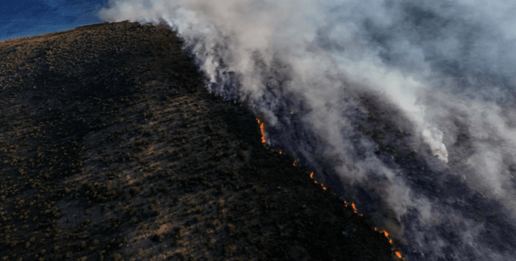 Ahmet Hakan'dan Çeşme yangını yorumu: 'Artık sıkıyönetim ya da olağanüstü hâl durumuna geçmemiz gerekiyor'