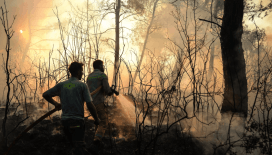 İzmir'de alevlerle mücadele devam ediyor: Buca, Ödemiş ve Çeşme'deki orman yangınında son durum