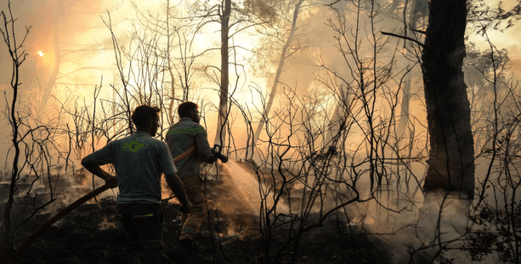 İzmir'de alevlerle mücadele devam ediyor: Buca, Ödemiş ve Çeşme'deki orman yangınında son durum