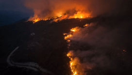 Hatay'ın Dörtyol ilçesinde orman yangını büyüyor: Tahliyeler ve müdahale sürüyor