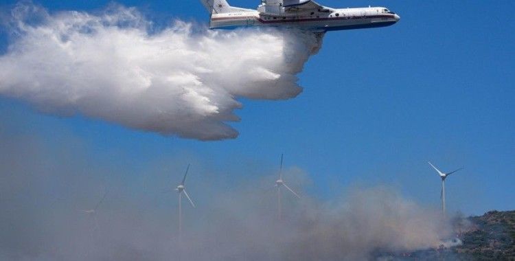 Tekirdağ'da orman yangını: Müdahale sürüyor