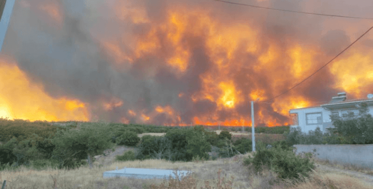 Tekirdağ'da anız yangını ormana sıçradı