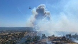 Çanakkale ve Tekirdağ'da orman yangını: Havadan ve karadan müdahale ediliyor