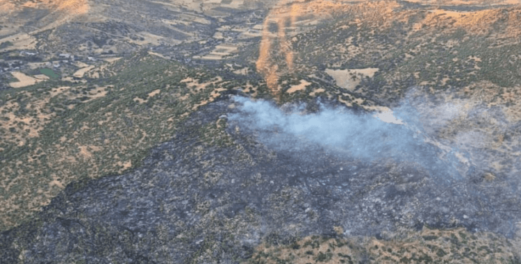 Aydın'daki yangınla ilgili bir kişi gözaltına alındı