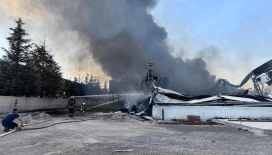 Kayseri'de mobilya fabrikası alevlere teslim oldu