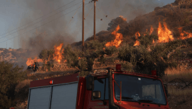 İtalya'da orman yangını: Tatil köyünden 180 kişi tahliye edildi