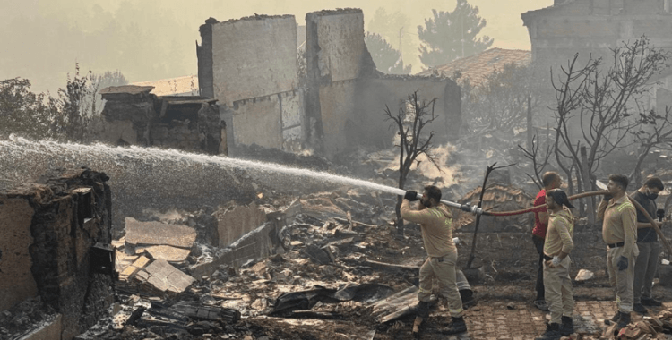 Sakarya'daki orman yangınıyla mücadele 4 gündür sürüyor