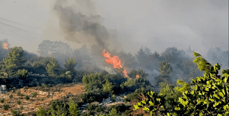 Mersin'in Silifke ilçesinde orman yangını çıktı