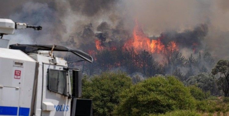 İzmir Bornova'da orman yangını: Alevler Buca sınırını geçti