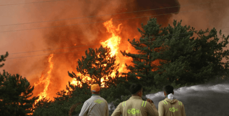 Karabük'teki orman yangınına müdahale ediliyor