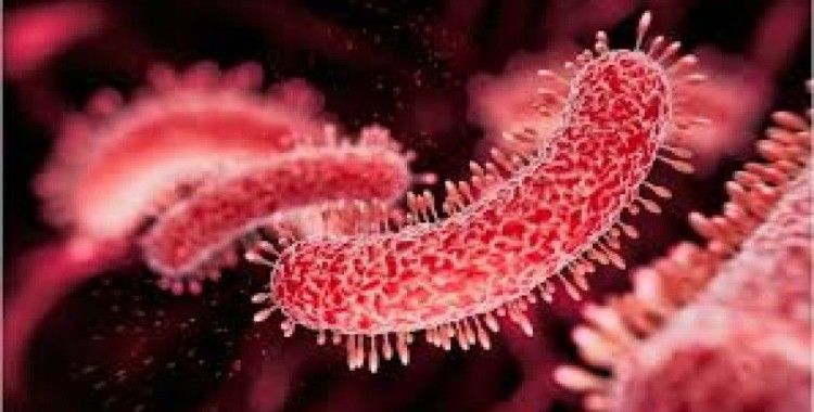 Türkiye'de et yiyen bakteri vakası var mı? Resmi açıklama geldi