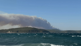 Gelibolu'da orman yangını büyüyor: Bazı köyler tahliye edildi