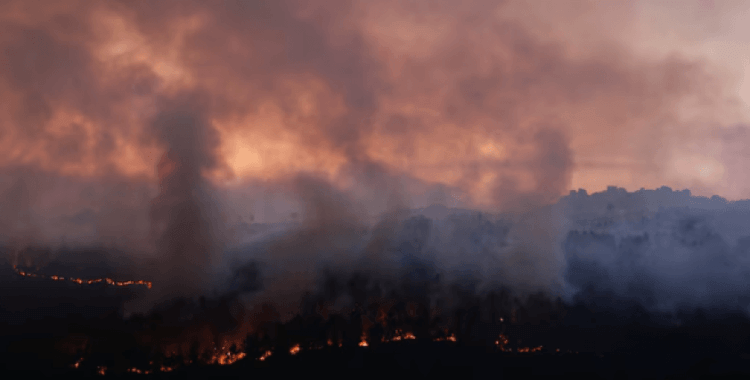 İspanya 20 büyük orman yangınıyla mücadele ediyor