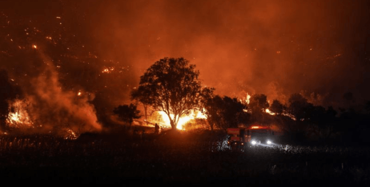 Çanakkale ve Adana yangınları büyük ölçüde kontrol altında