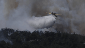 Bursa'da orman yangını çıktı: Ekiplerin müdahalesi sürüyor